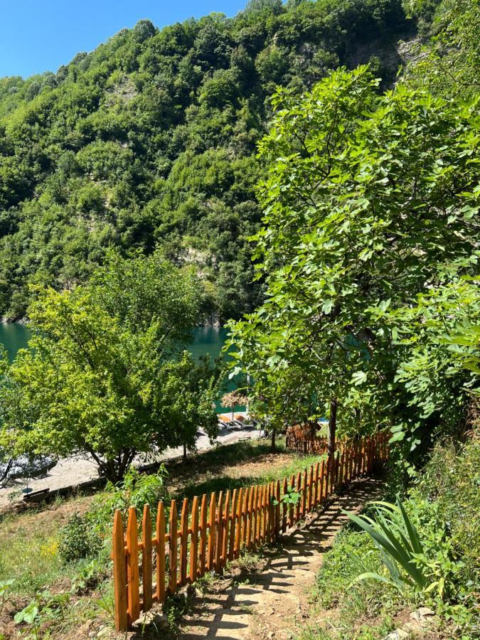 Neomalsore Agrotourism, Komani Lake Ξενοδοχείο Εξωτερικό φωτογραφία