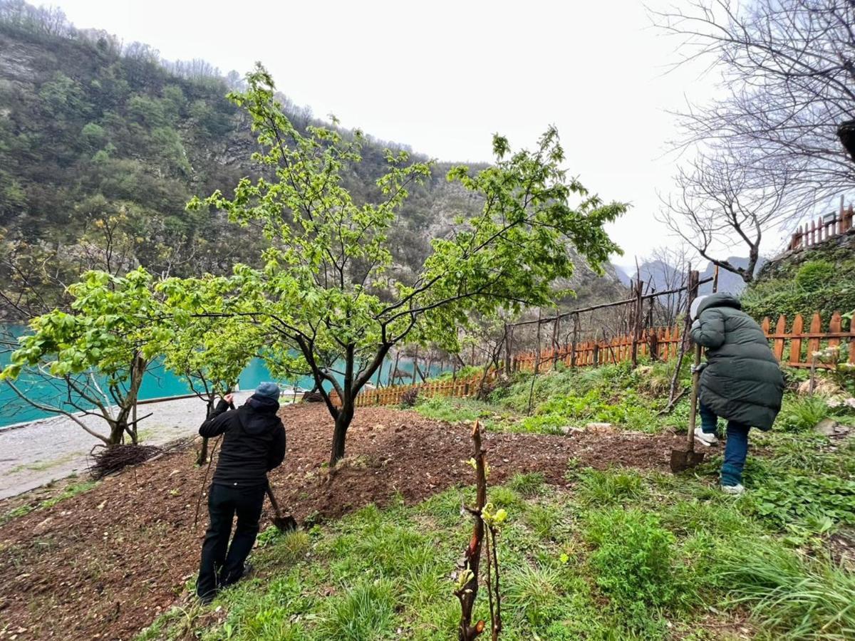 Neomalsore Agrotourism, Komani Lake Ξενοδοχείο Εξωτερικό φωτογραφία