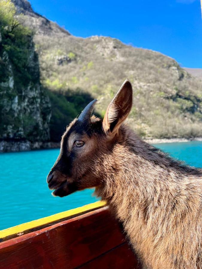 Neomalsore Agrotourism, Komani Lake Ξενοδοχείο Εξωτερικό φωτογραφία
