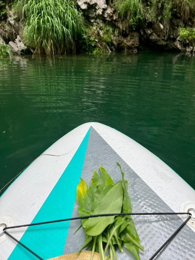Neomalsore Agrotourism, Komani Lake Ξενοδοχείο Εξωτερικό φωτογραφία