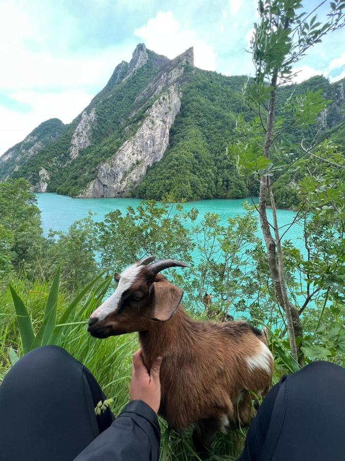 Neomalsore Agrotourism, Komani Lake Ξενοδοχείο Εξωτερικό φωτογραφία