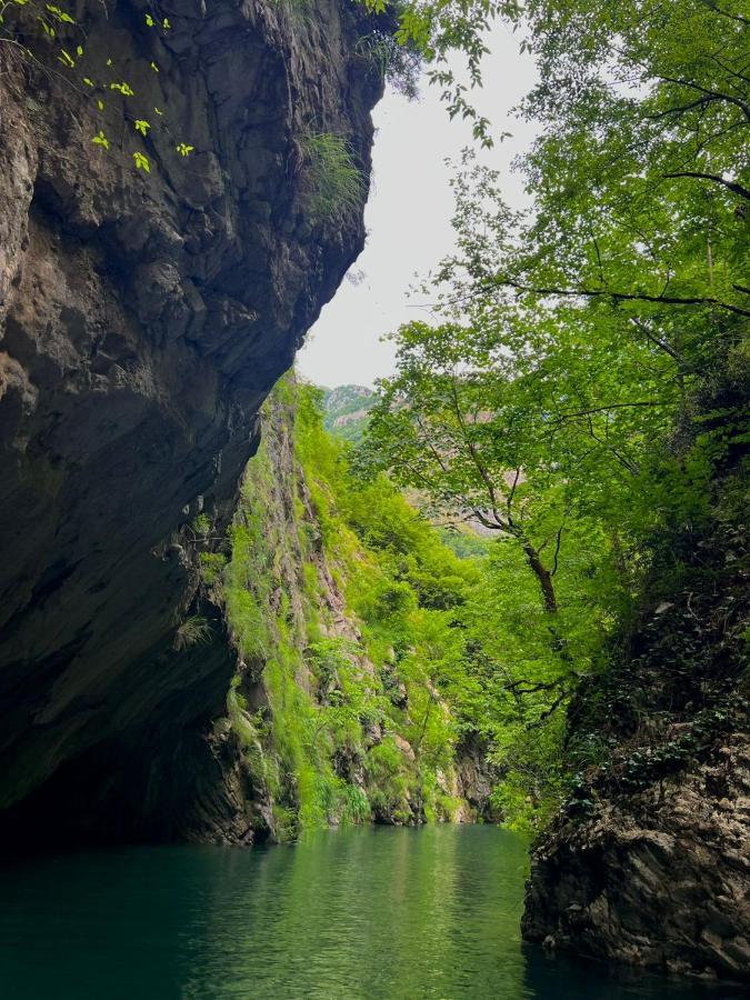 Neomalsore Agrotourism, Komani Lake Ξενοδοχείο Εξωτερικό φωτογραφία