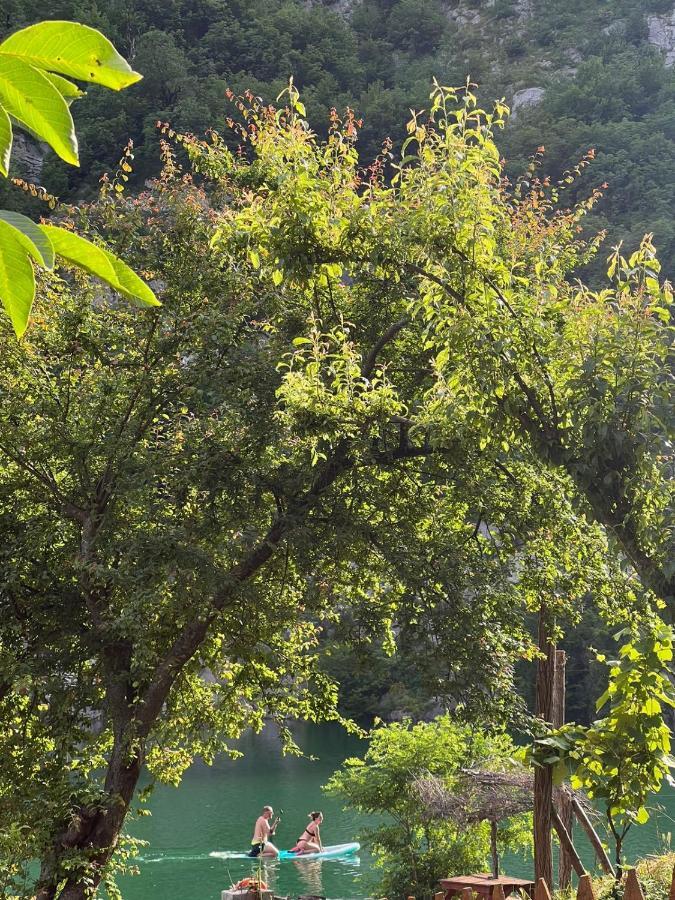 Neomalsore Agrotourism, Komani Lake Ξενοδοχείο Εξωτερικό φωτογραφία