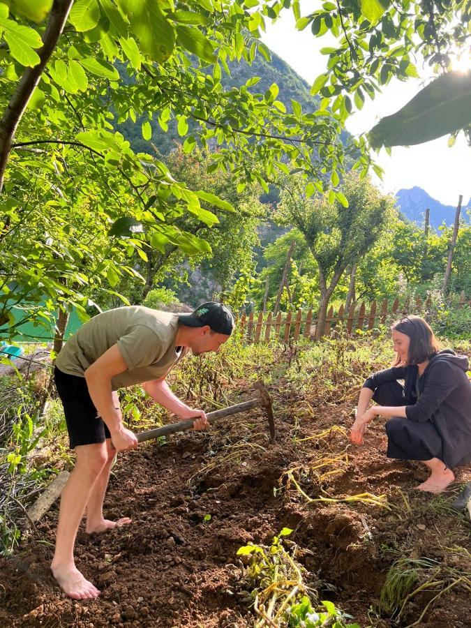 Neomalsore Agrotourism, Komani Lake Ξενοδοχείο Εξωτερικό φωτογραφία
